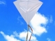fk_145_ueres_feliratozhato_reklam_sarkany.jpg